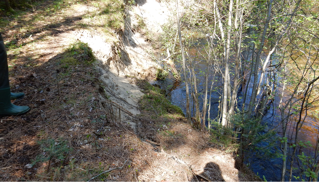 Depot Creek Restoration Project Update