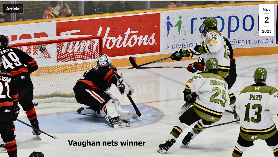 Troops quiet IceDogs 6-2