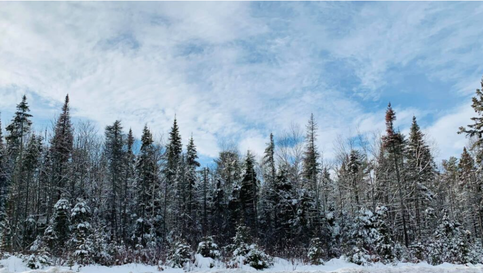 FONOM in Ottawa to talk nation-building priorities