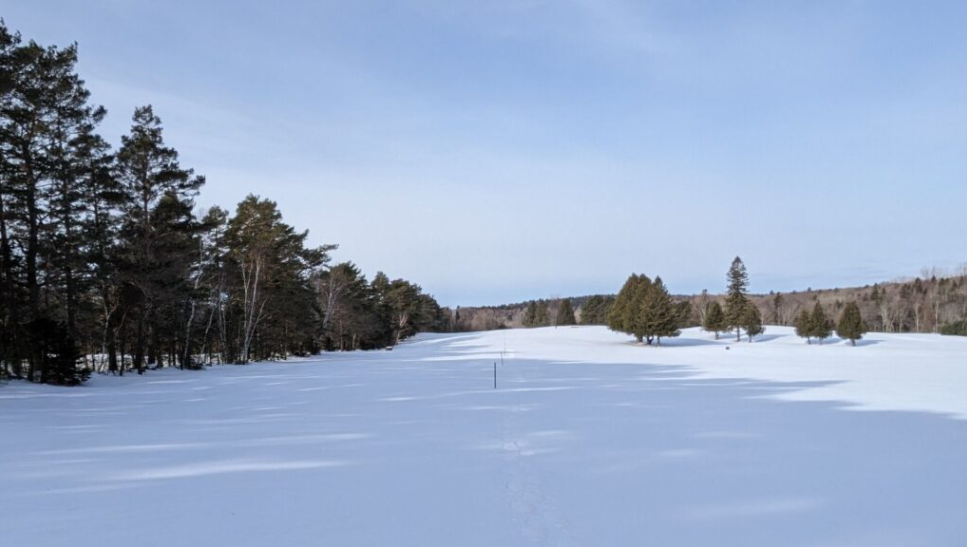 Area snow depth up just over 8 cm in the last two weeks