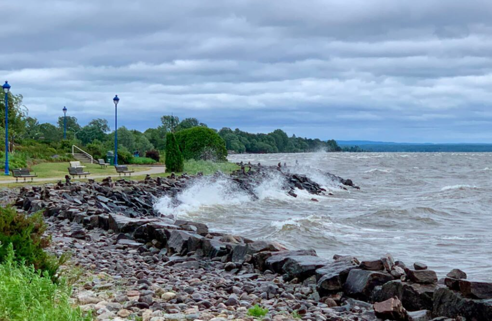 Ontario Investing More Than $235,000 in Research to Protect Natural Resources