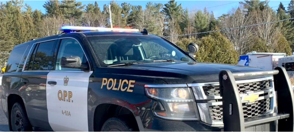 74-year-old charged after fleeing from police