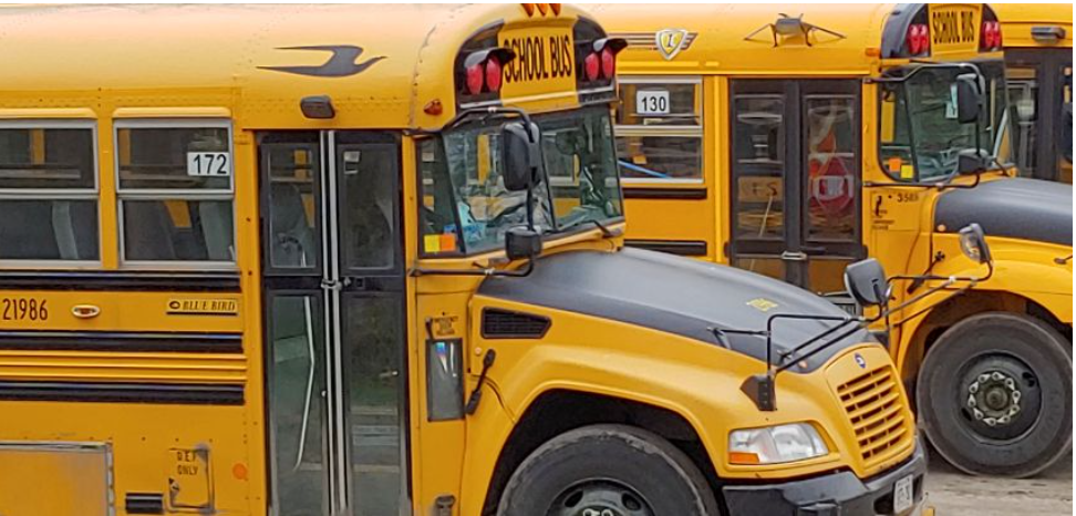 More Alouette buses running