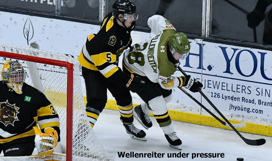 Bulldogs dominate opener