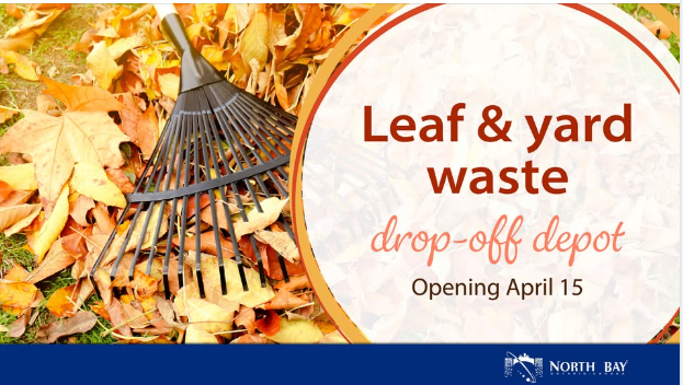 City staff are optimistic