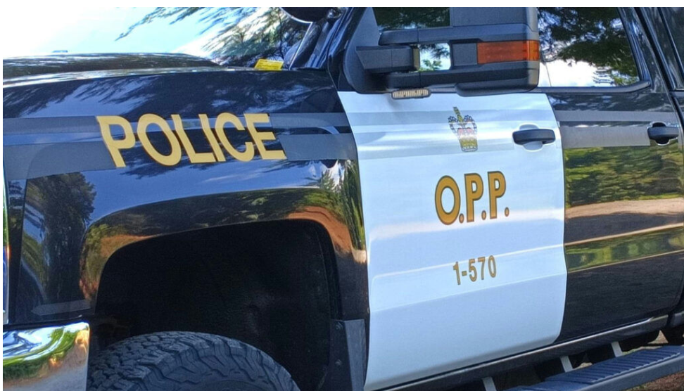 Federal offender apprehended in North Bay