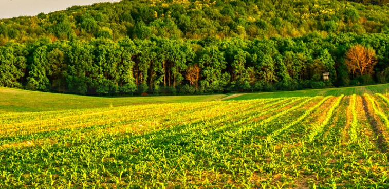 Protecting and Expanding Ontario Farmland