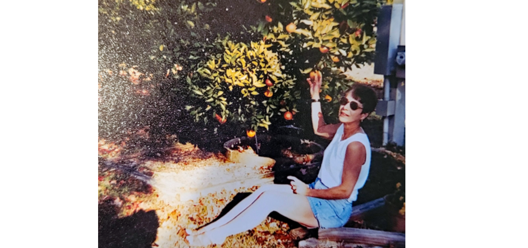 Barbara Stockill