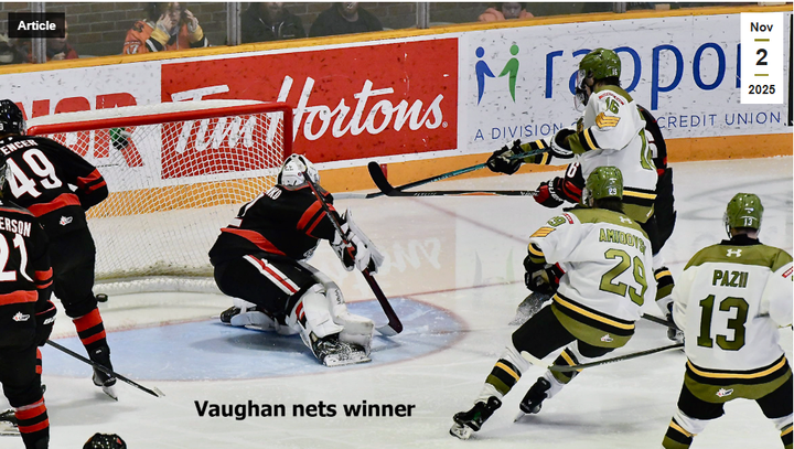 Troops quiet IceDogs 6-2