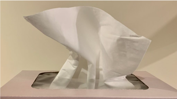 ‘Very high’ levels of flu reported by the health unit