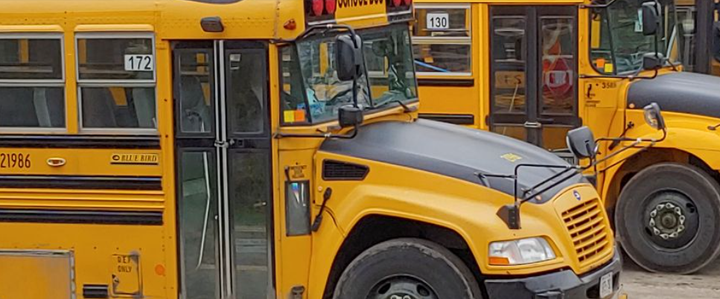 Labour dispute takes Alouette school buses off the road