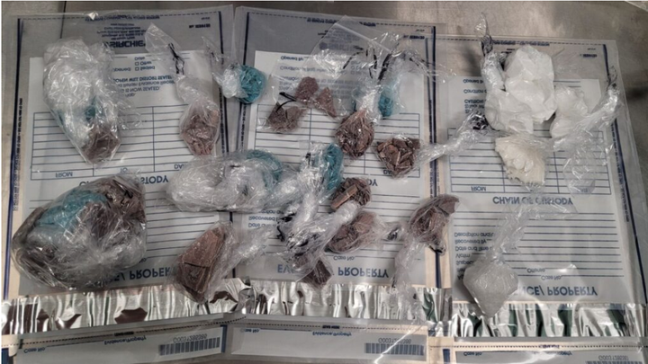 Over $200,000 in suspected drugs seized by city police