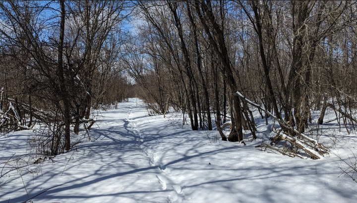 Snow Survey - down 3.6cm