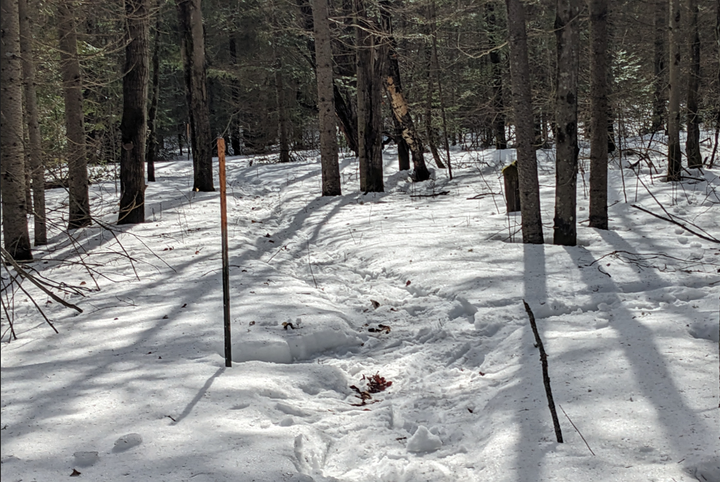 Snow depth decreases 23 cms