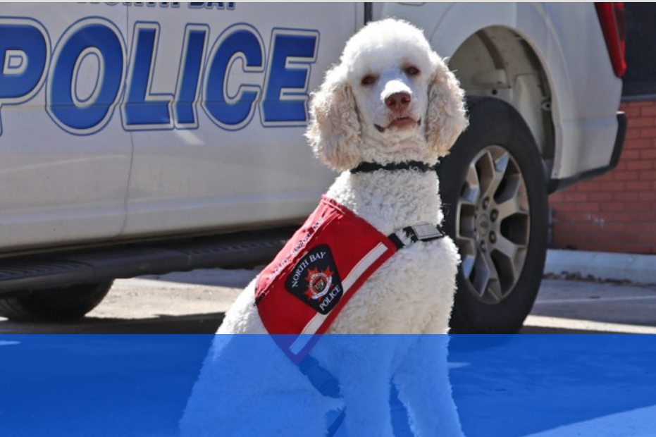 Moka is Officially on Duty