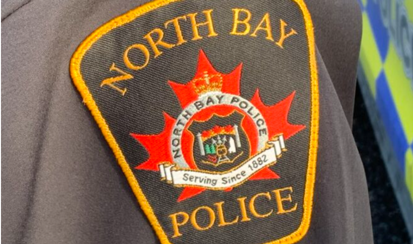 Police continue to pursue leads after stolen art recovered