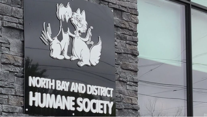 Community’s ‘amazing capacity’ for caring about vulnerable pets on display at golf tournament