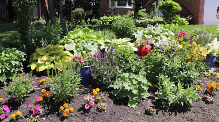 Looking for North Bay’s best lawn, garden, landscape and storefront