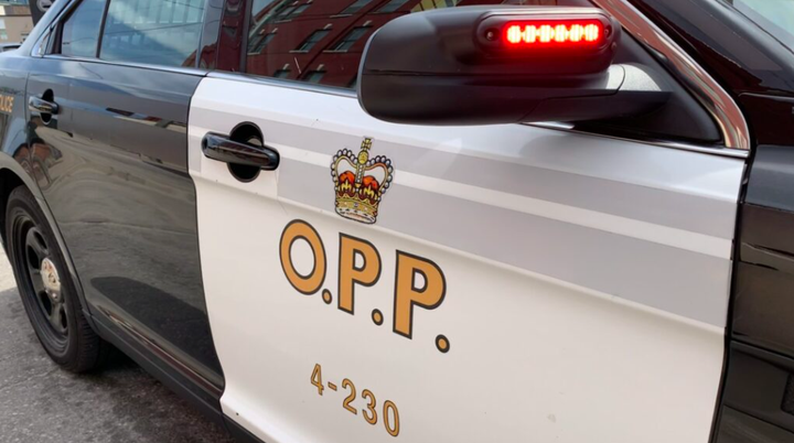 More than a dozen charges filed after OPP spot expired vehicle permit