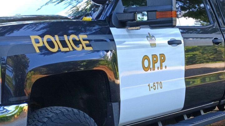 North Bay man charged in stolen vehicle investigation
