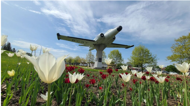 Potential Sherman Tank display at Lee Park would honour Algonquin Regiment