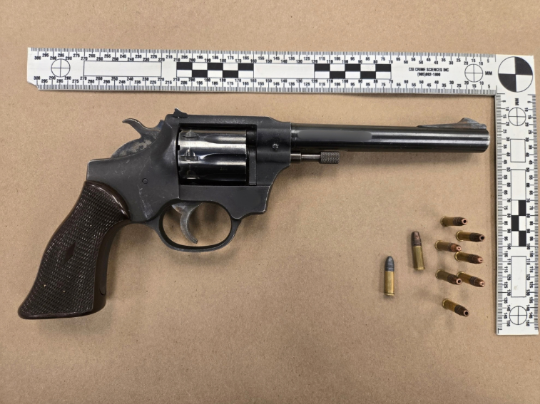 Assault Investigation Leads to Seizure of Drugs, Loaded Handgun and Stolen Property